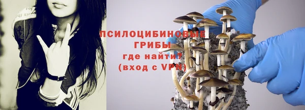 тгк Алексин