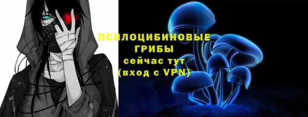 бутират Алзамай