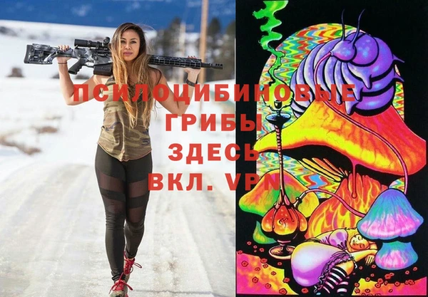 тгк Алексин