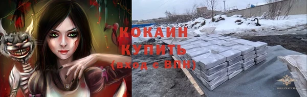тгк Алексин