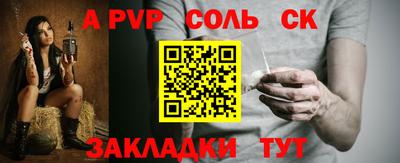 СК Бердск