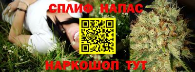 СК Бердск