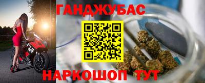 СК Бердск