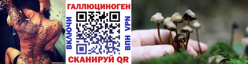 Псилоцибиновые грибы Cubensis  Большой Камень 