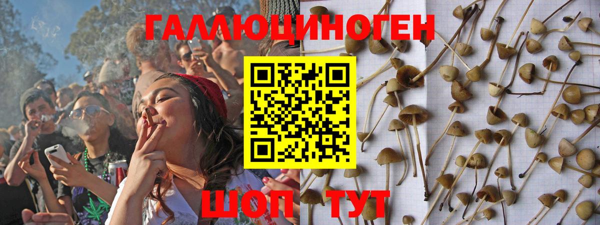 Галлюциногенные грибы Psilocybe  Вход с VPN  Псилоцибиновые грибы Magic Shrooms  Большой Камень 