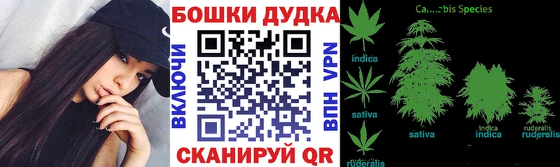 Конопля конопля  купить закладку  Большой Камень 