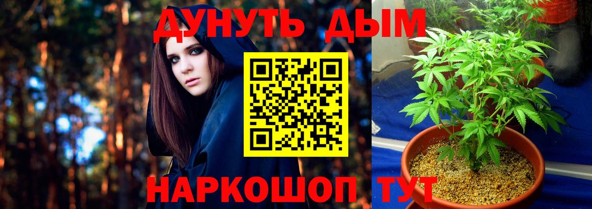 Конопля план  Марихуана тримм  Вход с VPN  Большой Камень 